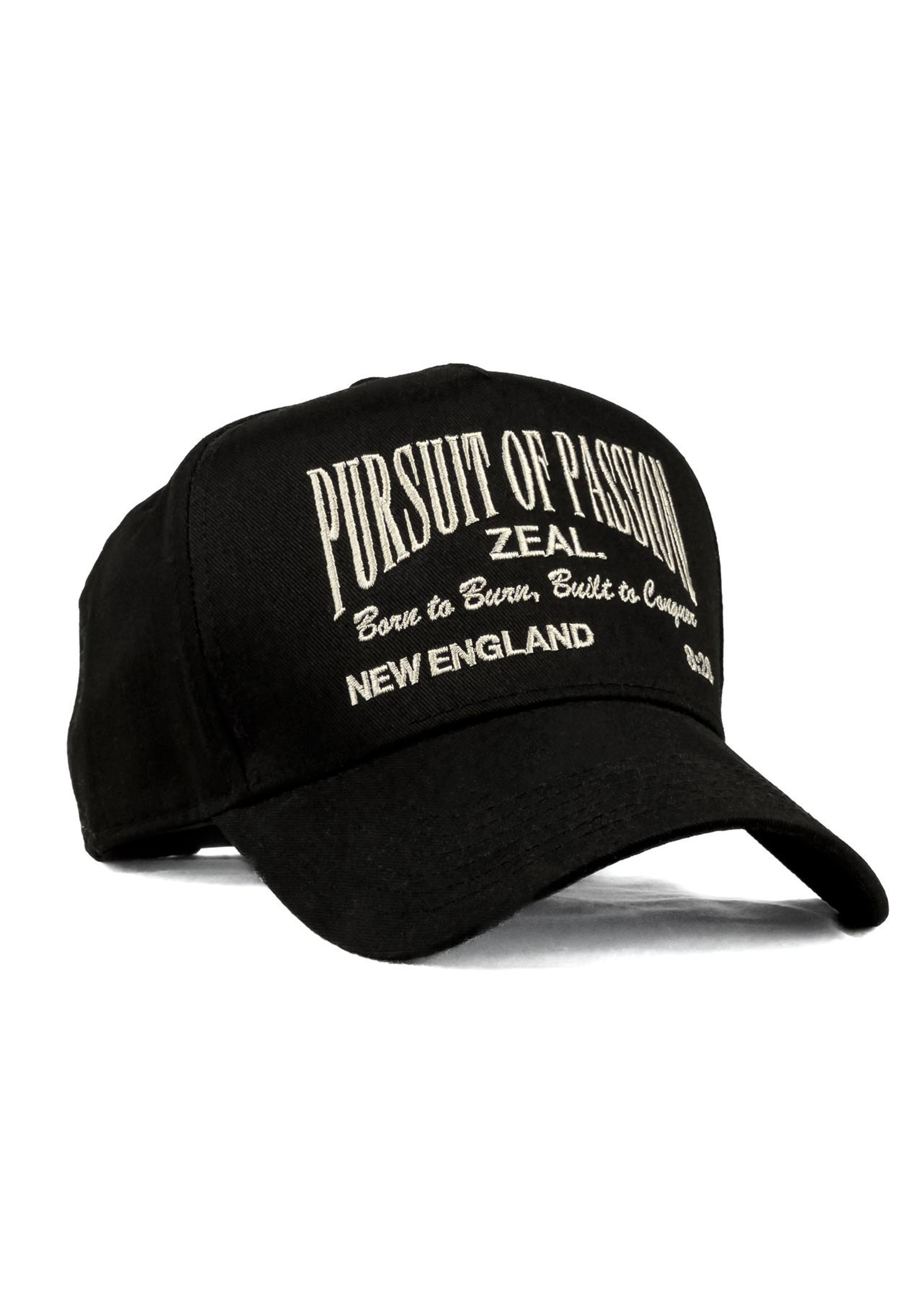 PURSUIT OF PASSION {P.O.P} ROOTS HAT