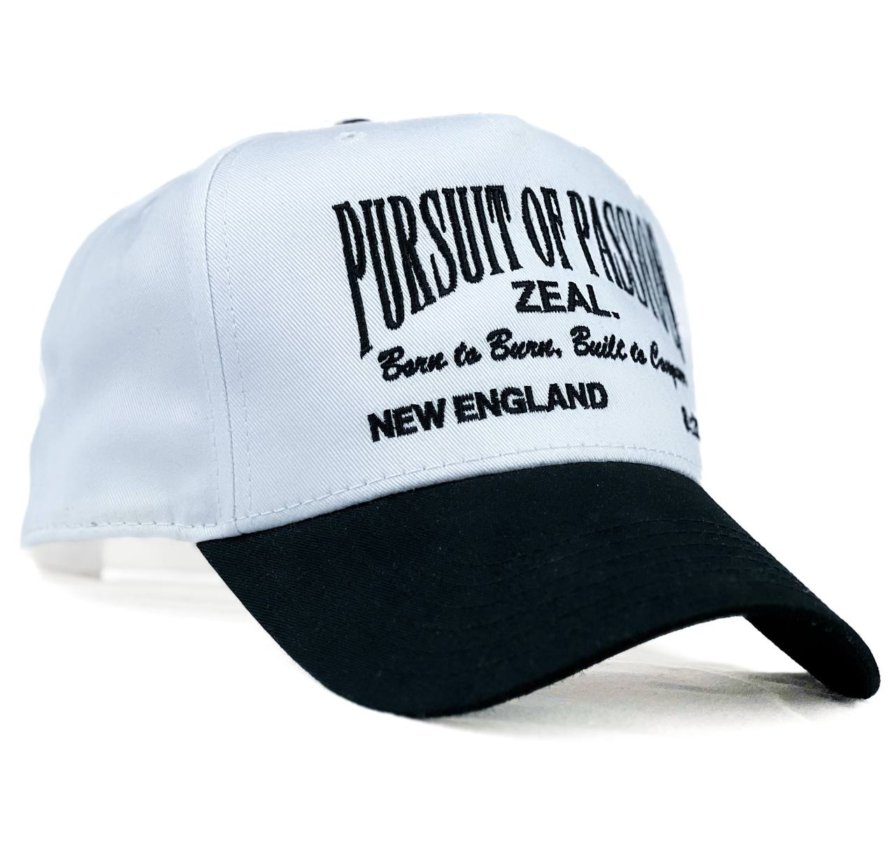 PURSUIT OF PASSION {P.O.P} ROOTS HAT